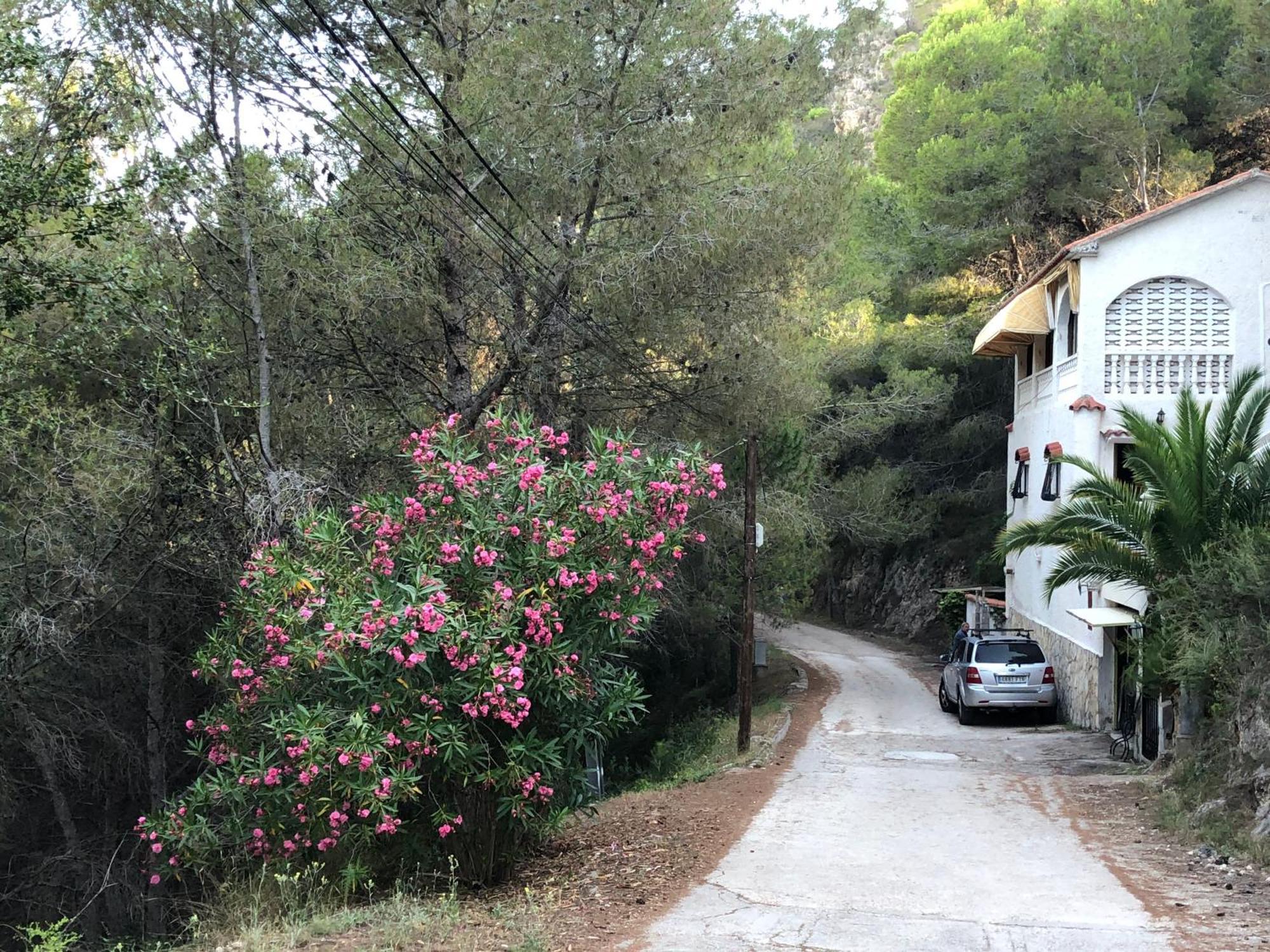 Almisera Villa Almiserat Екстериор снимка